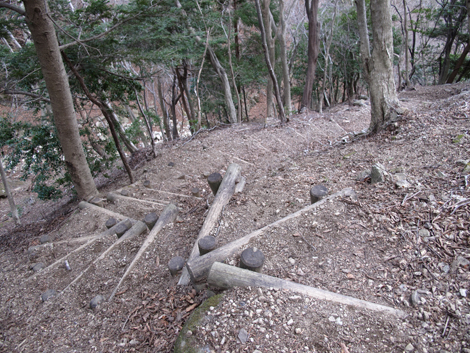 20170113hike (388)